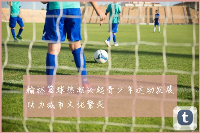 榆林篮球热潮兴起青少年运动发展助力城市文化繁荣