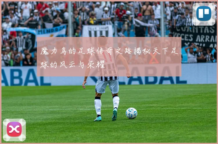 魔力鸟的足球传奇之路揭秘天下足球的风云与荣耀