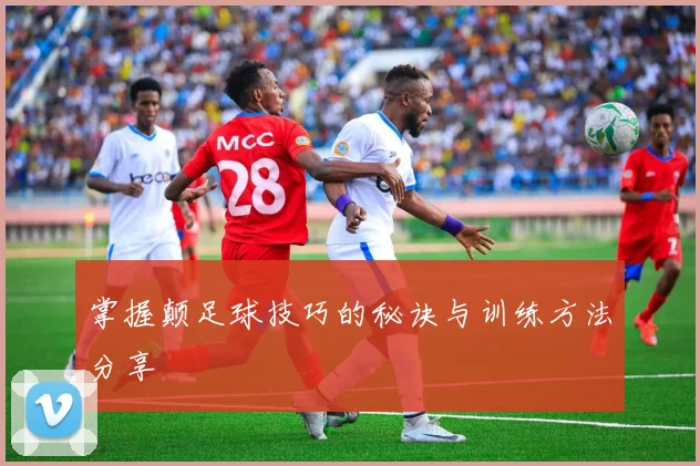 掌握颠足球技巧的秘诀与训练方法分享