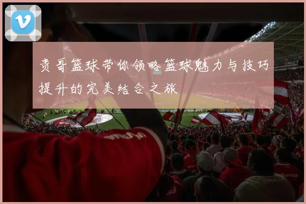 贵哥篮球带你领略篮球魅力与技巧提升的完美结合之旅