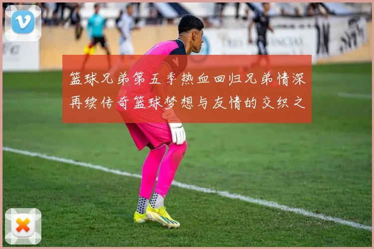 篮球兄弟第五季热血回归兄弟情深再续传奇篮球梦想与友情的交织之旅