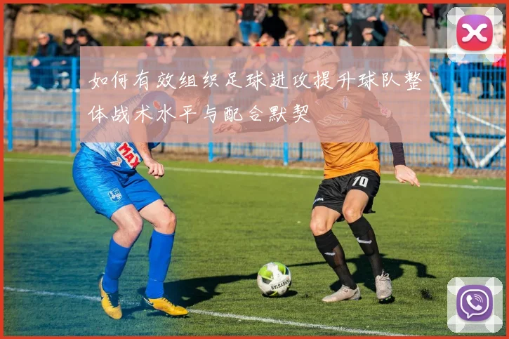 如何有效组织足球进攻提升球队整体战术水平与配合默契
