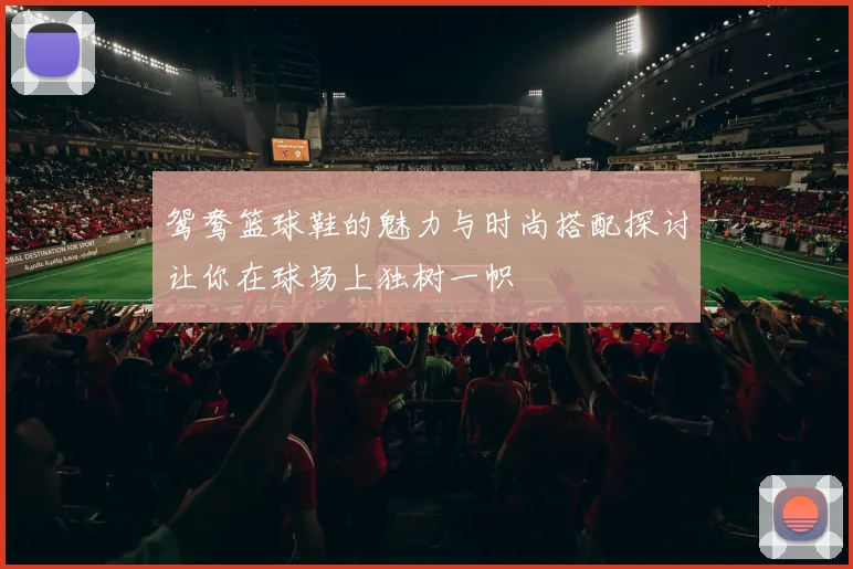 鸳鸯篮球鞋的魅力与时尚搭配探讨让你在球场上独树一帜